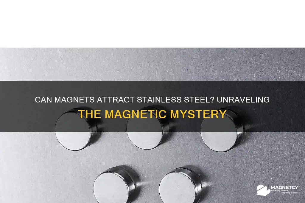 can a magnet pick up stainless steel