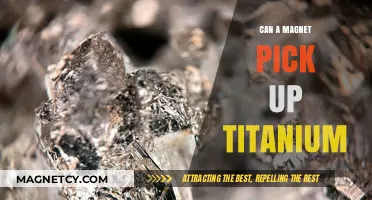 Can Magnets Attract Titanium? Unveiling the Surprising Truth