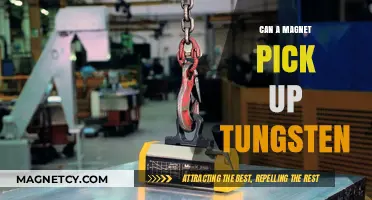 Can Magnets Lift Tungsten? Exploring Magnetic Properties of Dense Metals