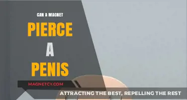 Magnets and Male Anatomy: Debunking the Penis Piercing Myth