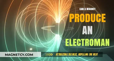 Magnetic Power: Can Magnets Generate Electromagnetic Energy?