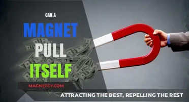 Can Magnets Pull Themselves? Exploring Self-Attraction in Magnetism