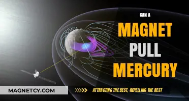 Can Magnets Attract Mercury? Unveiling the Science Behind the Myth