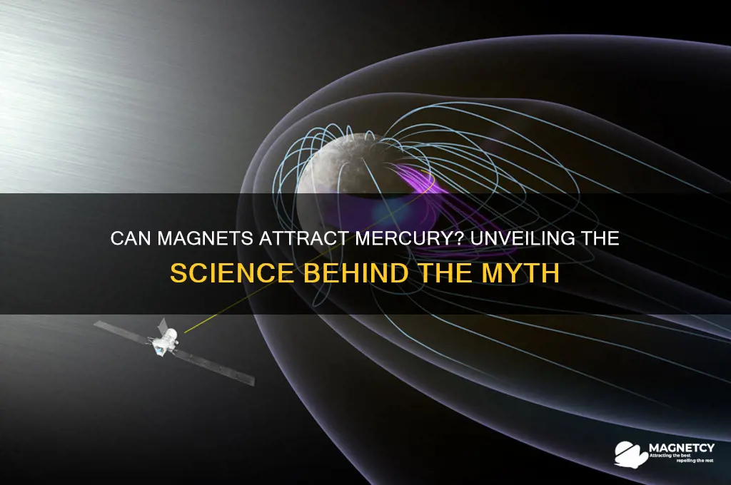 can a magnet pull mercury