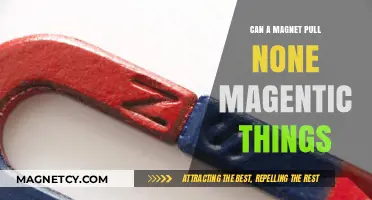 Can Magnets Attract Non-Magnetic Objects? Exploring Magnetic Mysteries