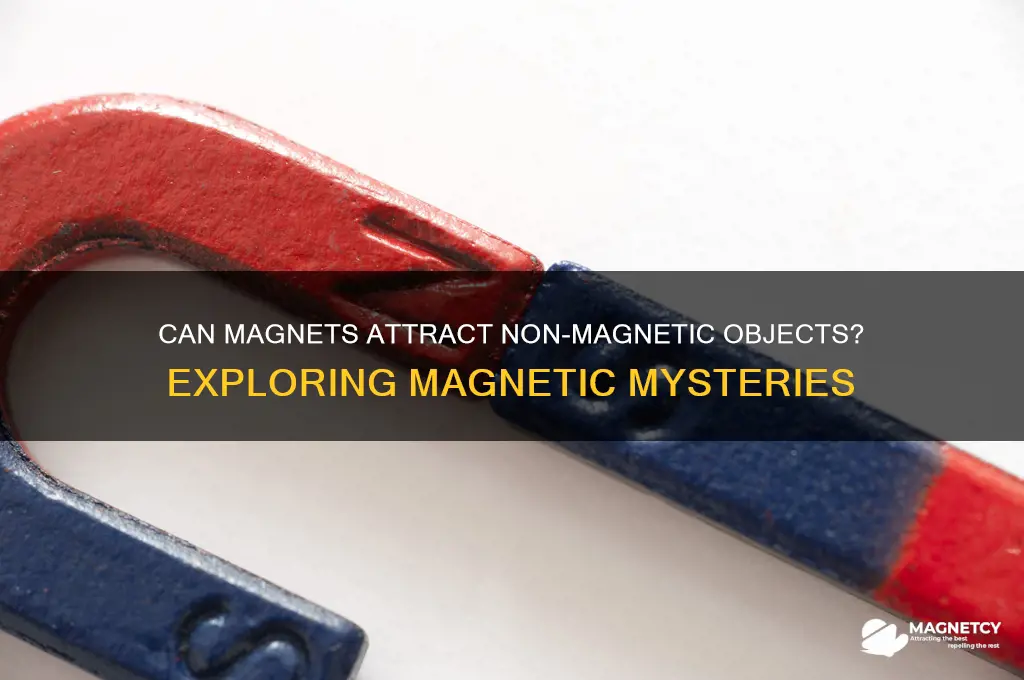can a magnet pull none magentic things