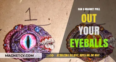 Can Magnets Really Pull Out Your Eyeballs? Separating Fact from Fiction