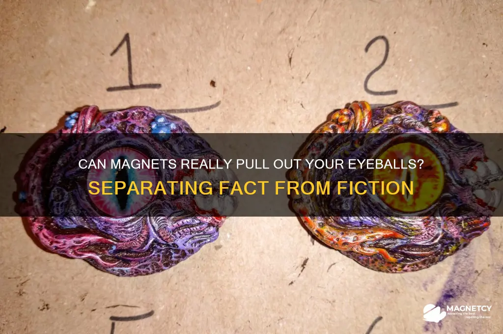 can a magnet pull out your eyeballs