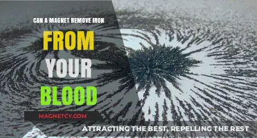 Can Magnets Extract Iron from Blood? Separating Fact from Fiction