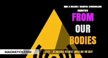 Magnets and Nonionizing Radiation: Can They Detoxify Our Bodies?