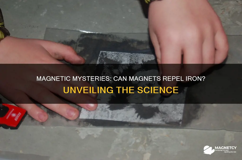 can a magnet repel iron