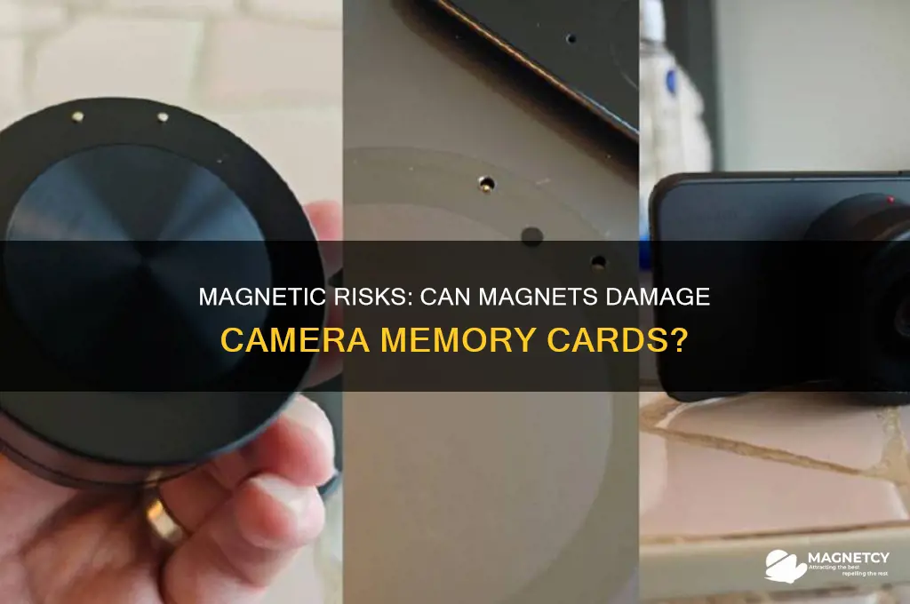 can a magnet ruin a camera card chip