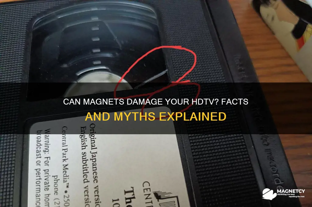can a magnet ruin a hdtv