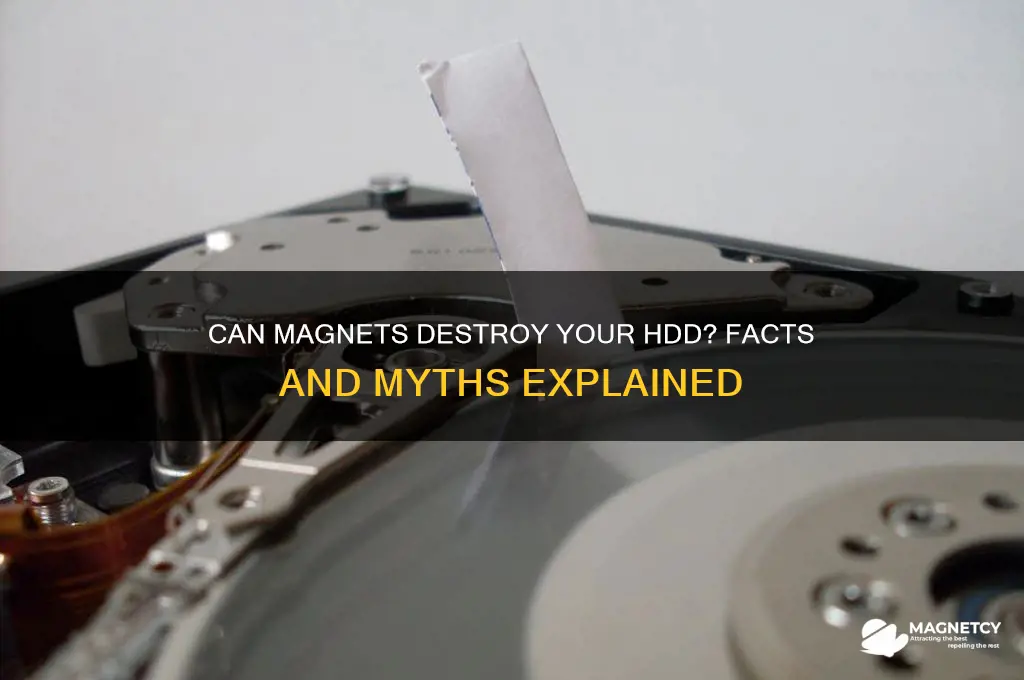 can a magnet ruin an hdd
