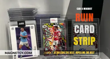 Magnets and Card Strips: Potential Risks and How to Avoid Damage