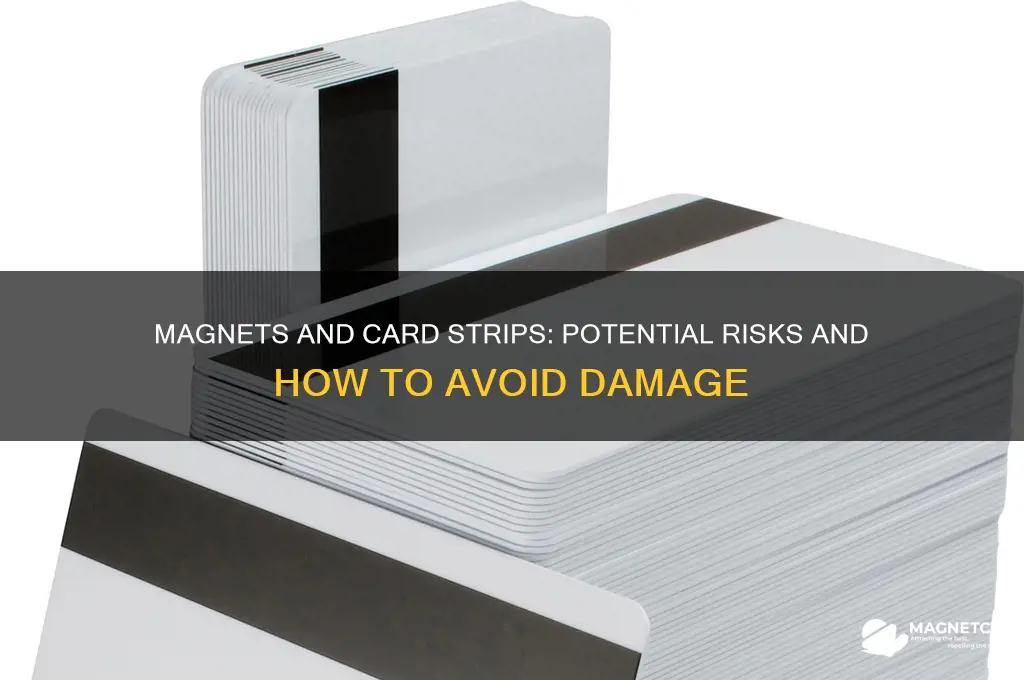 can a magnet ruin card strip
