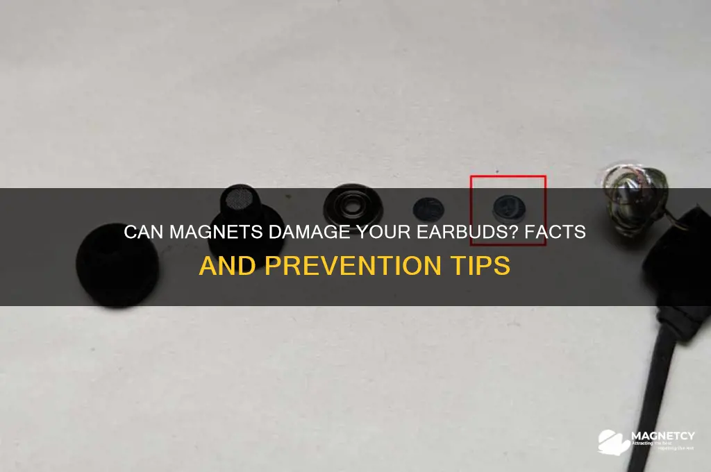 can a magnet ruin earbuds