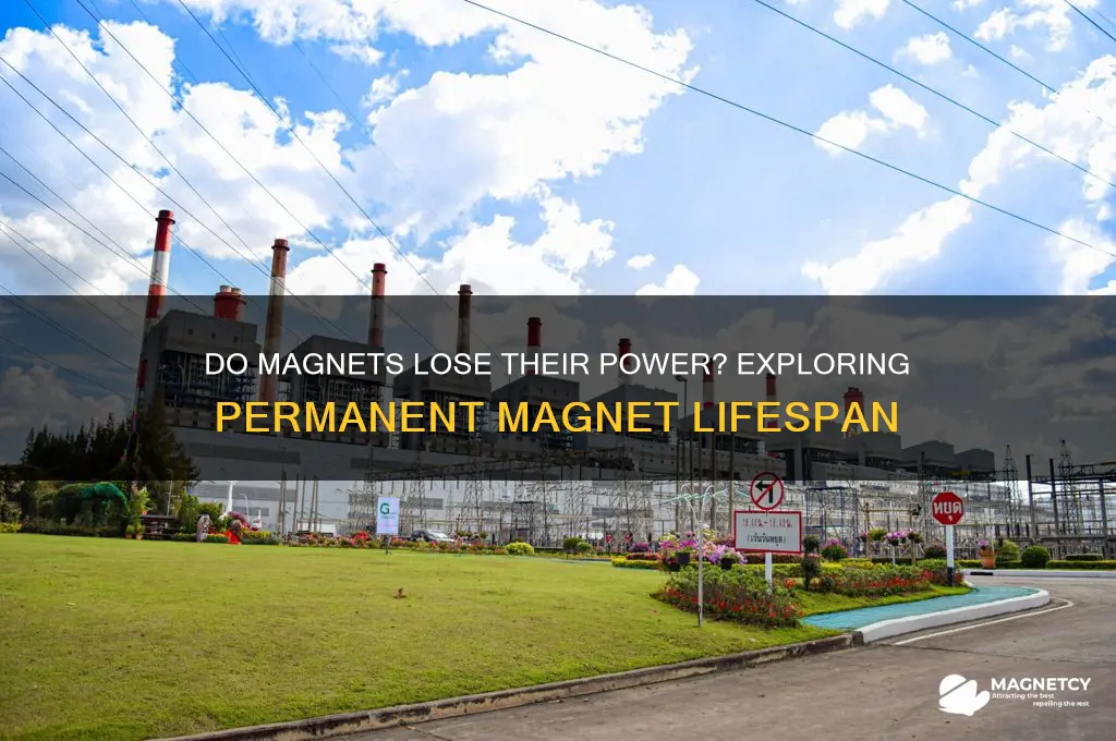can a magnet run out