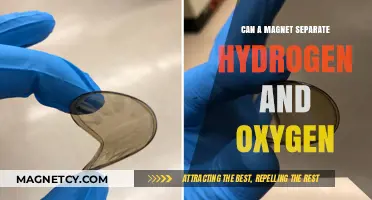 Magnetic Separation of Hydrogen and Oxygen: Fact or Fiction?