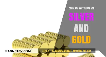 Magnetic Separation: Can Magnets Differentiate Silver from Gold?