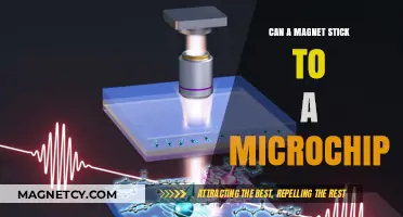 Can Magnets Stick to Microchips? Exploring the Science Behind It