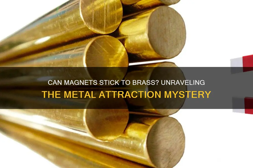 can a magnet stick to brass