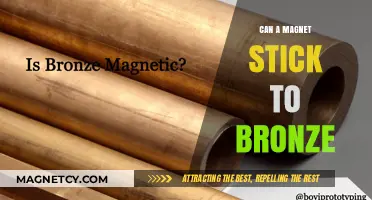 Can Magnets Adhere to Bronze? Exploring Magnetic Properties of Alloys