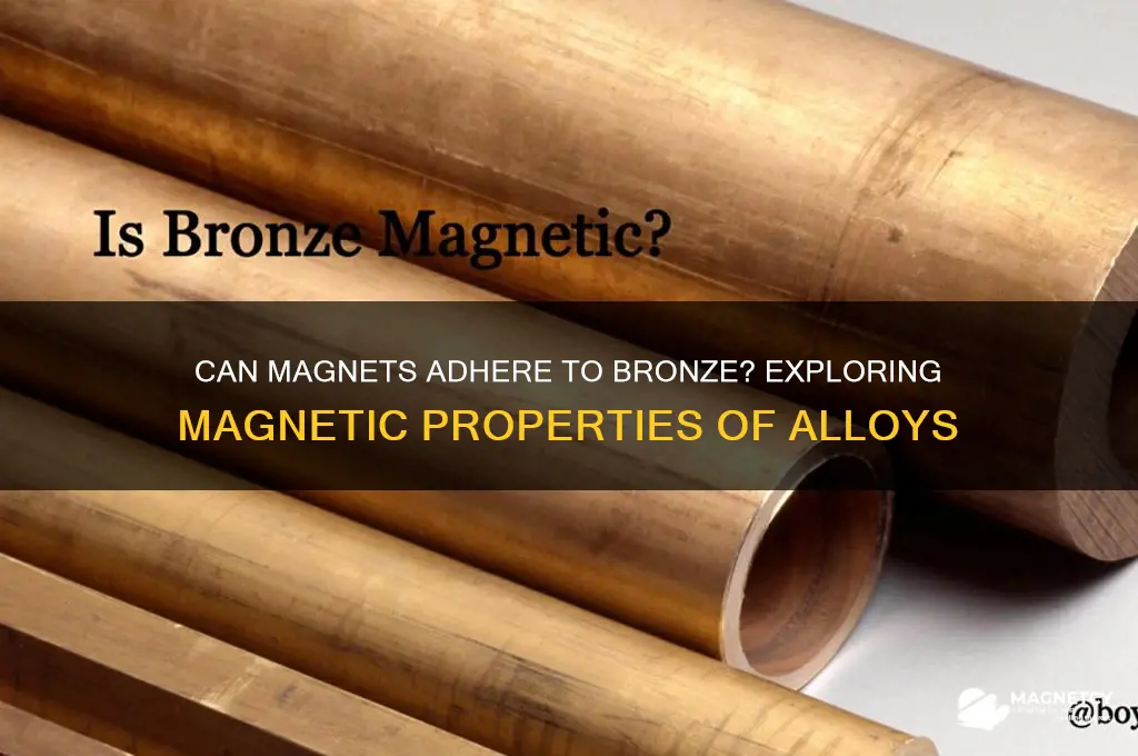 can a magnet stick to bronze