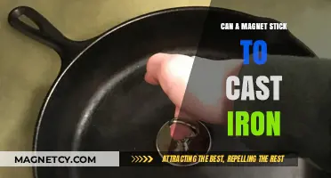 Does Cast Iron Attract Magnets? Unveiling the Magnetic Truth
