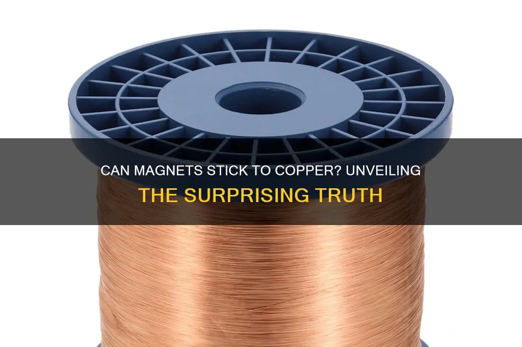 can a magnet stick to copper