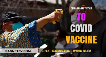 Can Magnets Stick to COVID Vaccines? Debunking Myths and Facts
