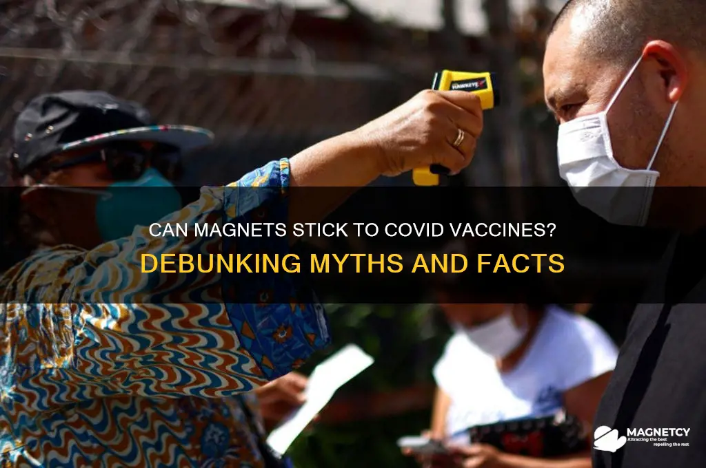 can a magnet stick to covid vaccine