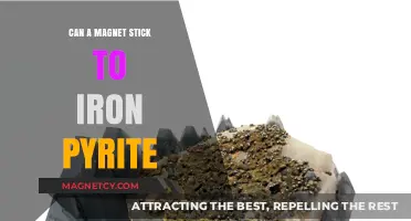Can Magnets Stick to Iron Pyrite? Unveiling the Truth