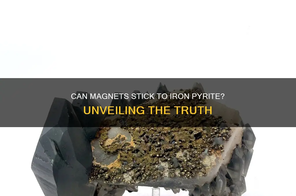 can a magnet stick to iron pyrite
