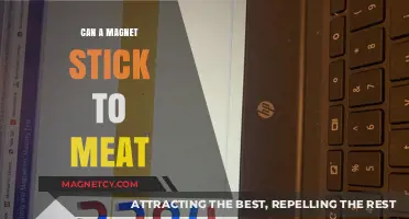 Can Magnets Stick to Meat? Unraveling the Science Behind It