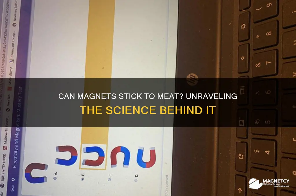 can a magnet stick to meat