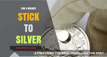 Can Magnets Stick to Silver? Unveiling the Truth About Silver's Magnetism