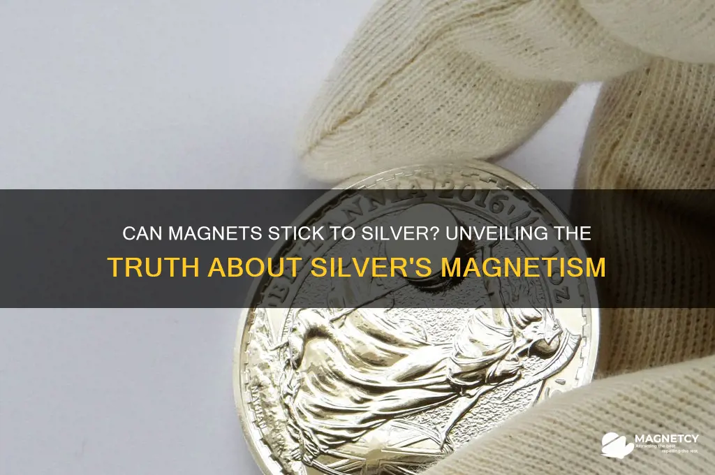 can a magnet stick to silver