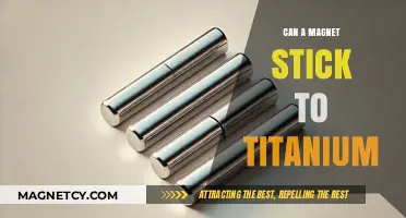 Can Magnets Stick to Titanium? Unveiling the Surprising Truth