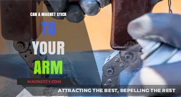 Can Magnets Stick to Human Skin? Debunking the Arm Myth