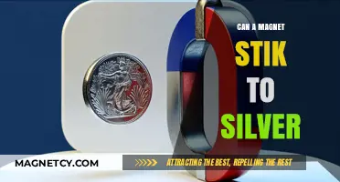 Can Magnets Stick to Silver? Unveiling the Truth Behind Metal Attraction