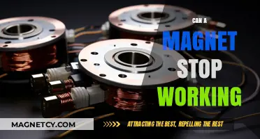 Why Magnets Lose Their Power: Causes and Prevention Tips