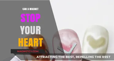 Can Magnets Stop Your Heart? Separating Fact from Fiction