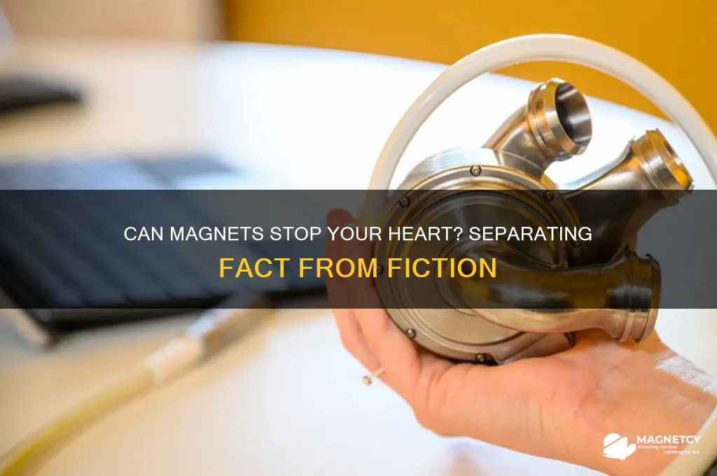 can a magnet stop your heart