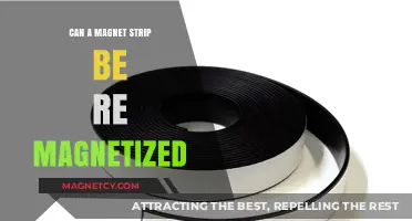Reviving Magnetic Power: Can a Magnet Strip Be Re-Magnetized?