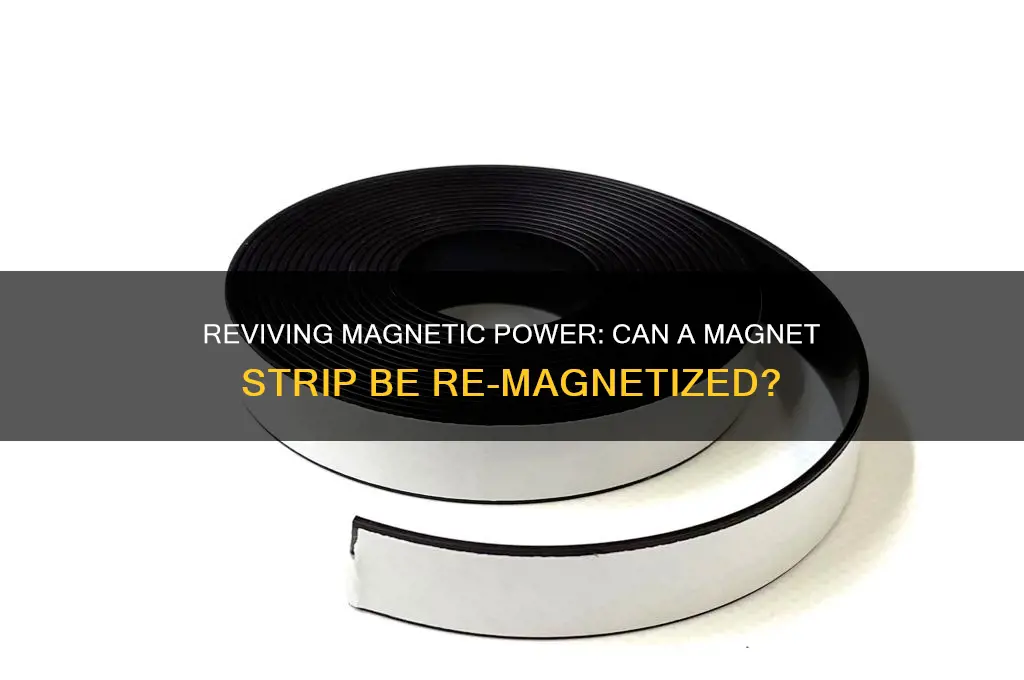 can a magnet strip be re magnetized