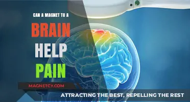 Magnetic Brain Stimulation: A Revolutionary Approach to Pain Relief?