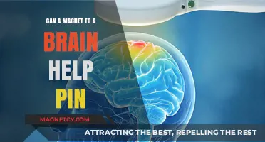 Magnetic Brain Stimulation: Can Magnets Help Pinpoint and Treat Disorders?