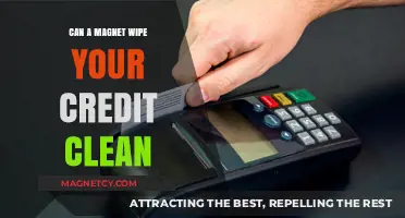 Magnets and Credit Cards: Debunking the Myth of Data Erasure