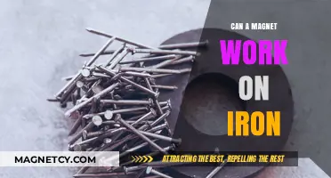 Can Magnets Attract Iron? Exploring Magnetic Properties and Interactions